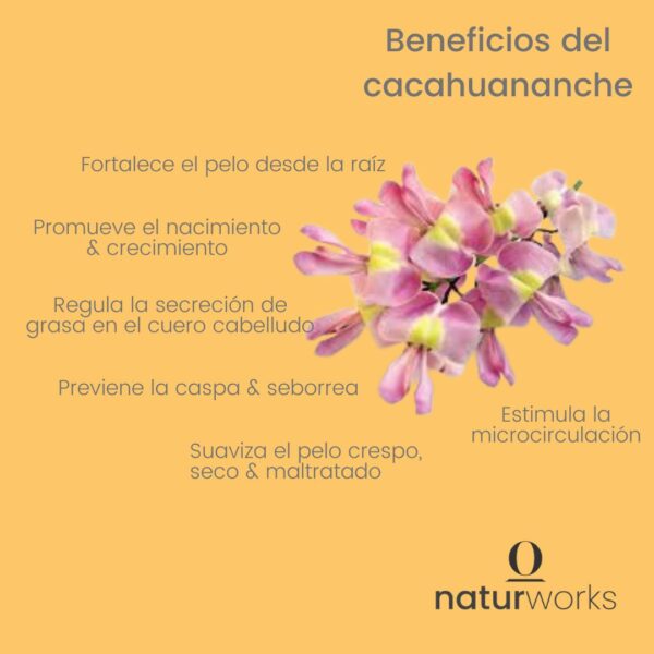 beneficios cacahuananche