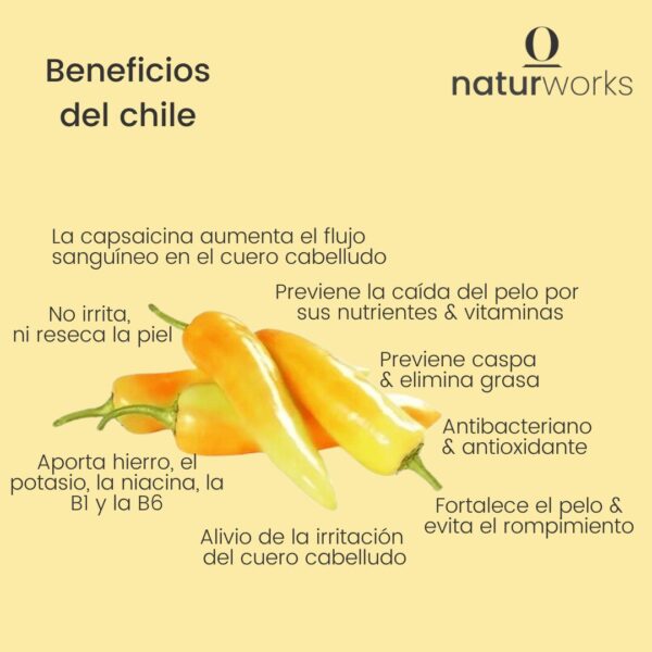beneficios chile