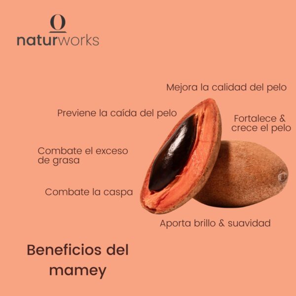 beneficios mamey