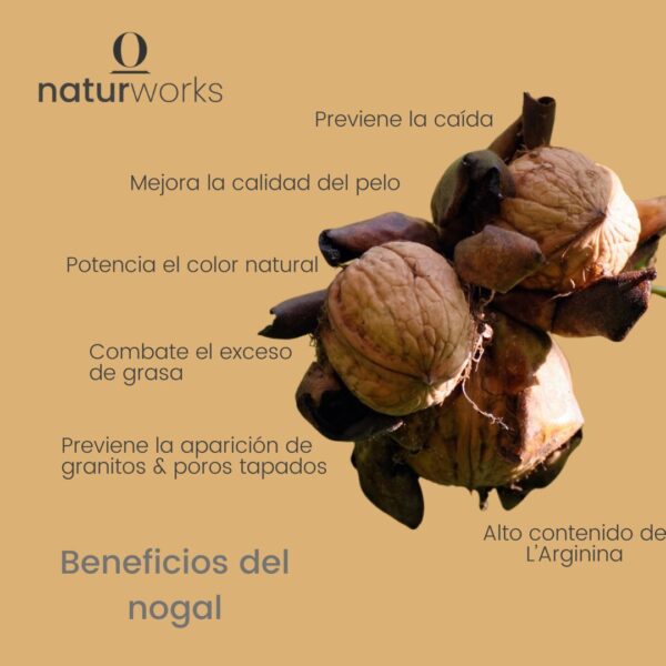beneficios nogal