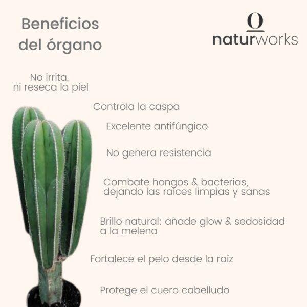 beneficios órgano